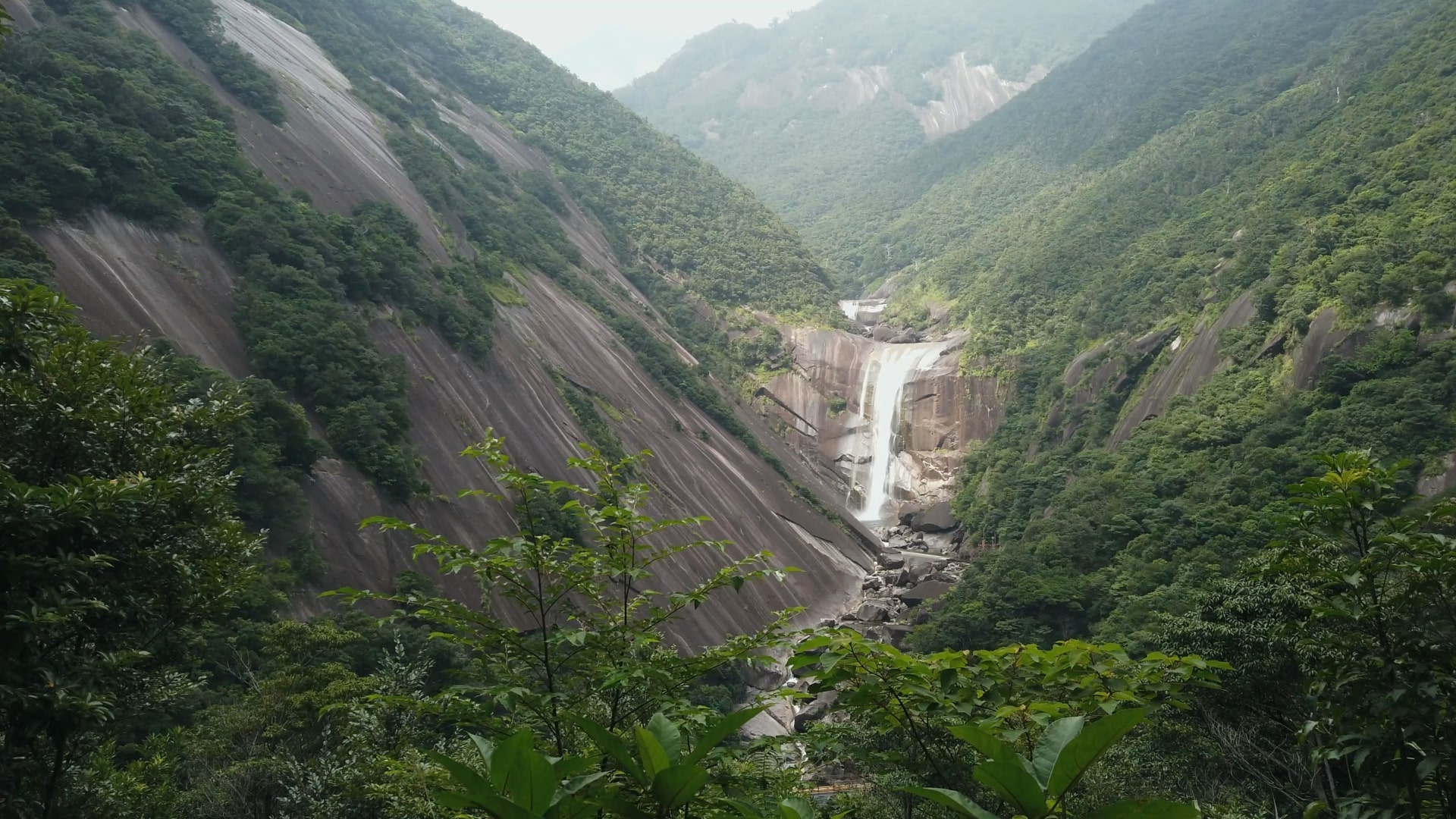 Yakushima National Park