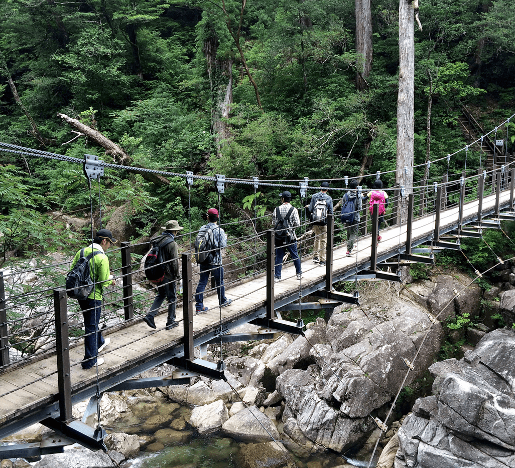 Yakusugi Land