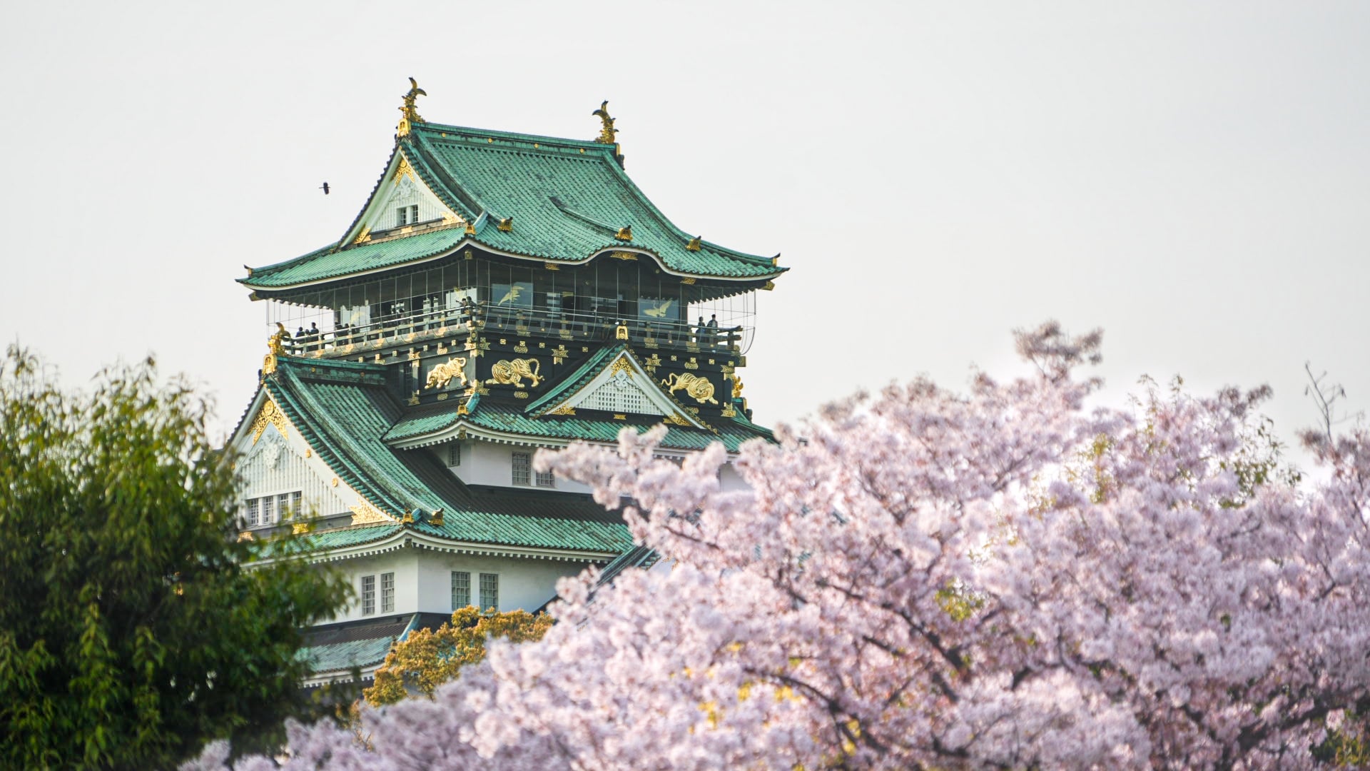 10 Best Things to Do in Osaka in Spring