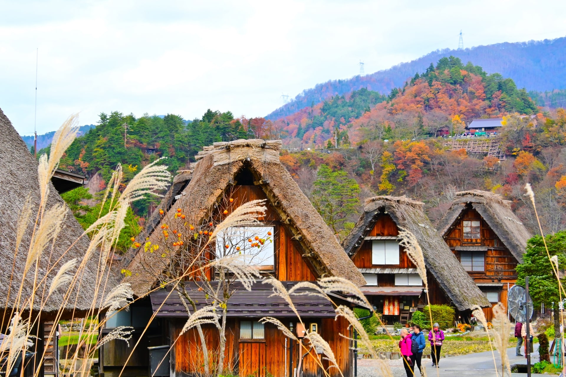 shirakawago2