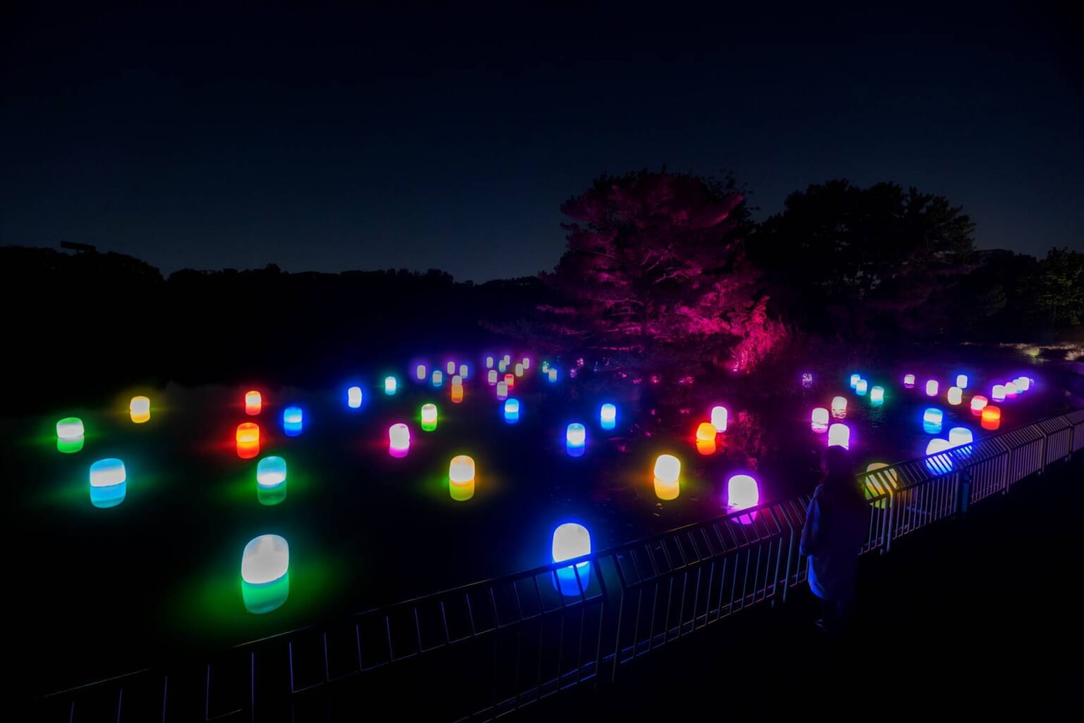 TeamLab Botanical Garden in Osaka Japan  Magazine