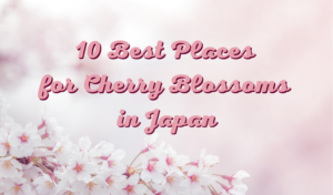 10 Best Places to View Cherry Blossoms in Japan