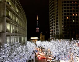 10 Best Events in Tokyo in February