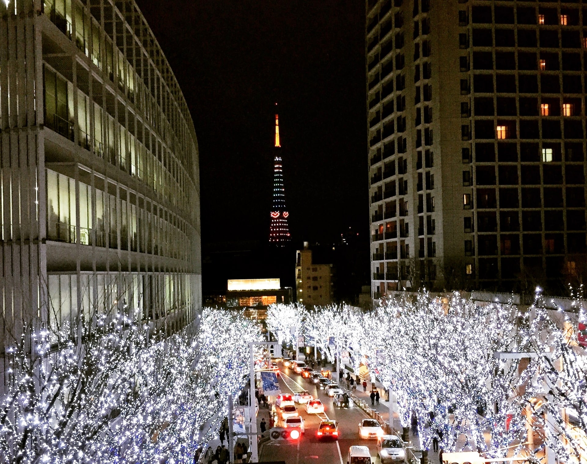 10 Best Event in Tokyo in February