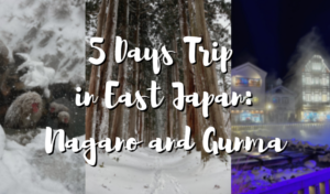 5 Days Trip in East Japan: Nagano and Gunma