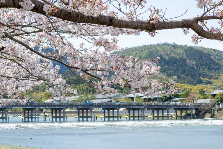 10 Best Things to Do in Kyoto in March 2025