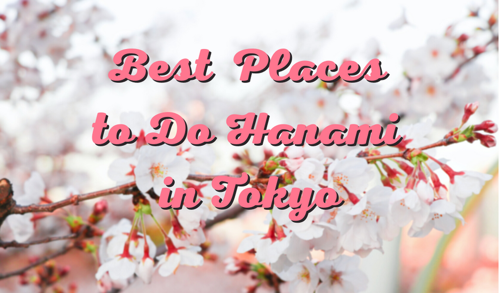 Best Hanami Spots in Tokyo