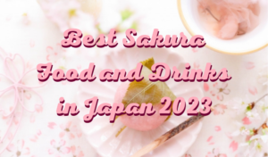 Best Sakura Food and Drinks in Japan