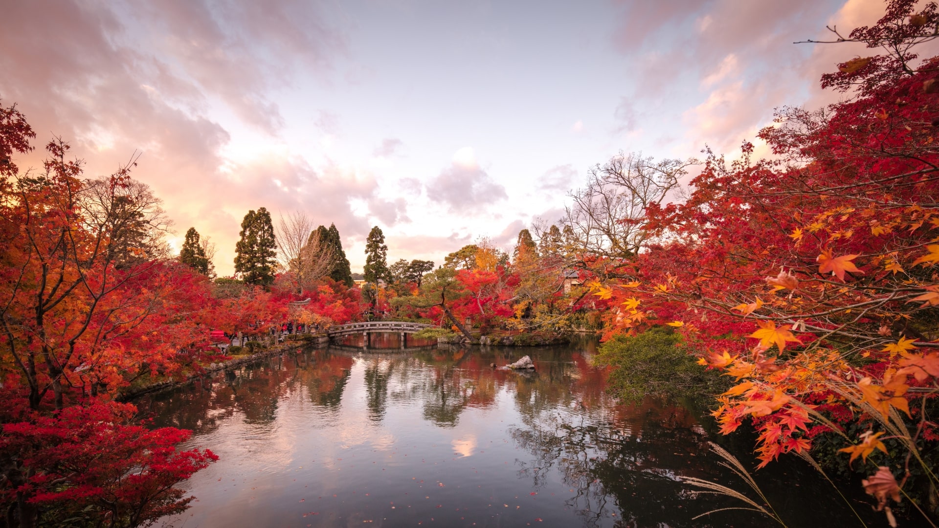 Eikando Zenrinji Temple (Kyoto)