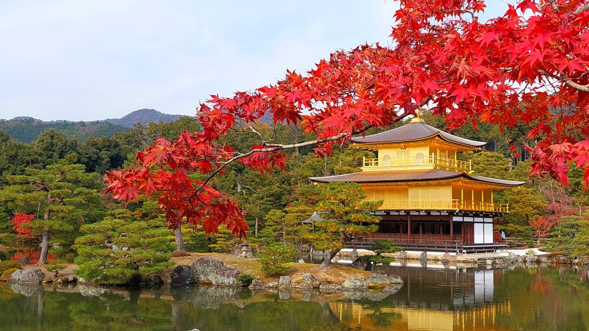 Kinkakuji Temple with autumn leaves