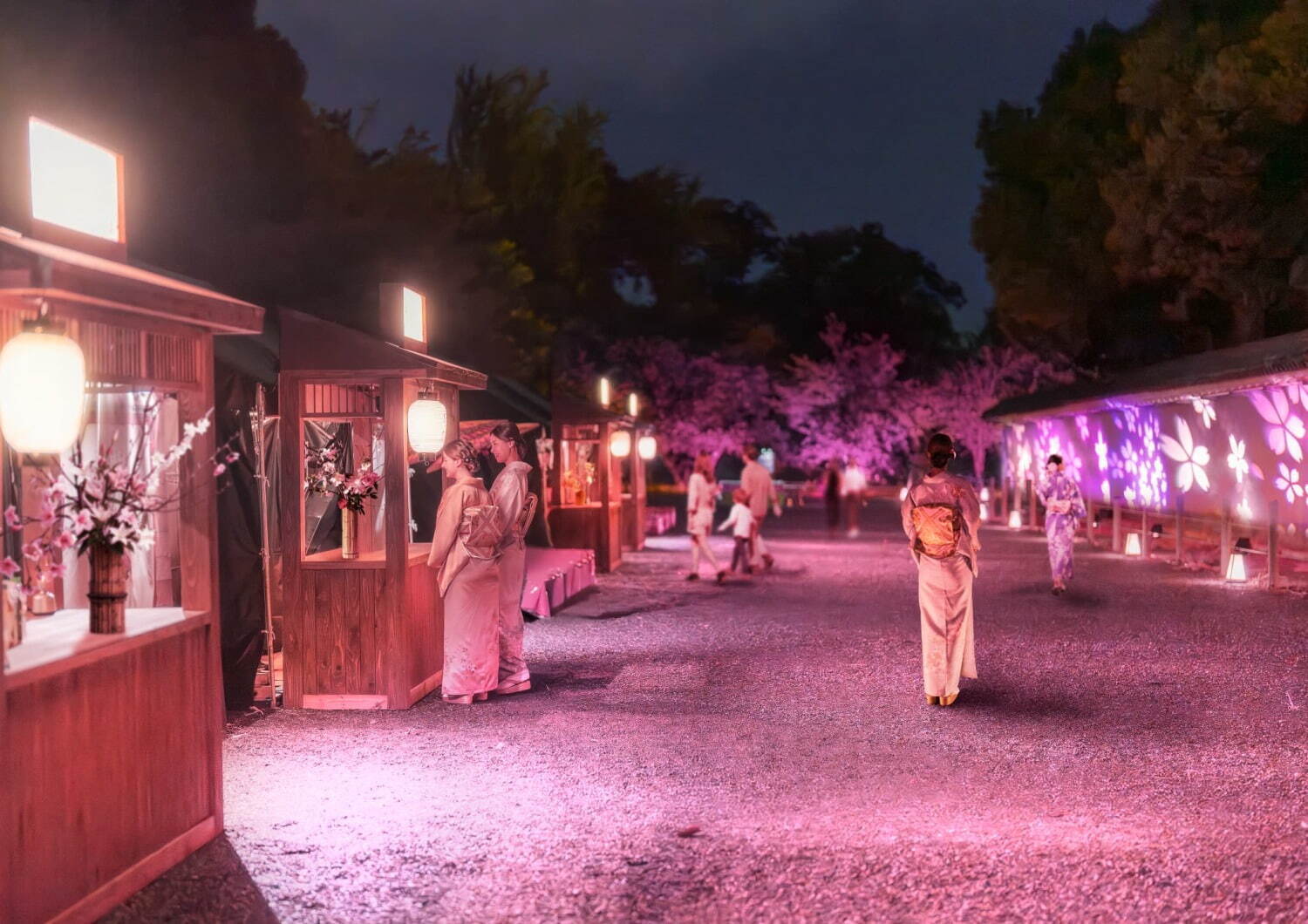 Nijo Castle Cherry Blossom Light-Up