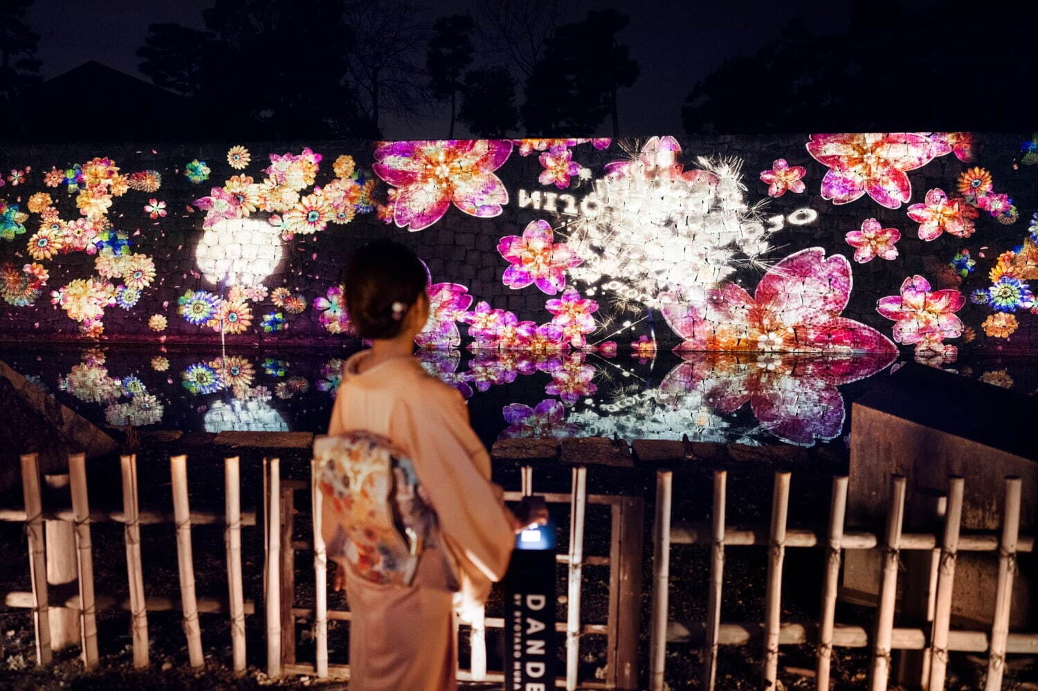 Nijo Castle Cherry Blossom Light-Up