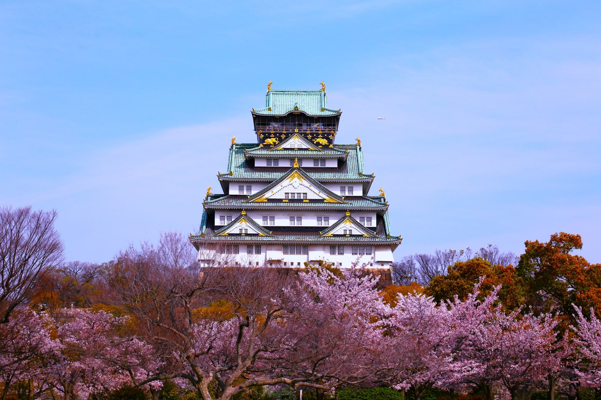 Osaka Castle with cherry blossoms