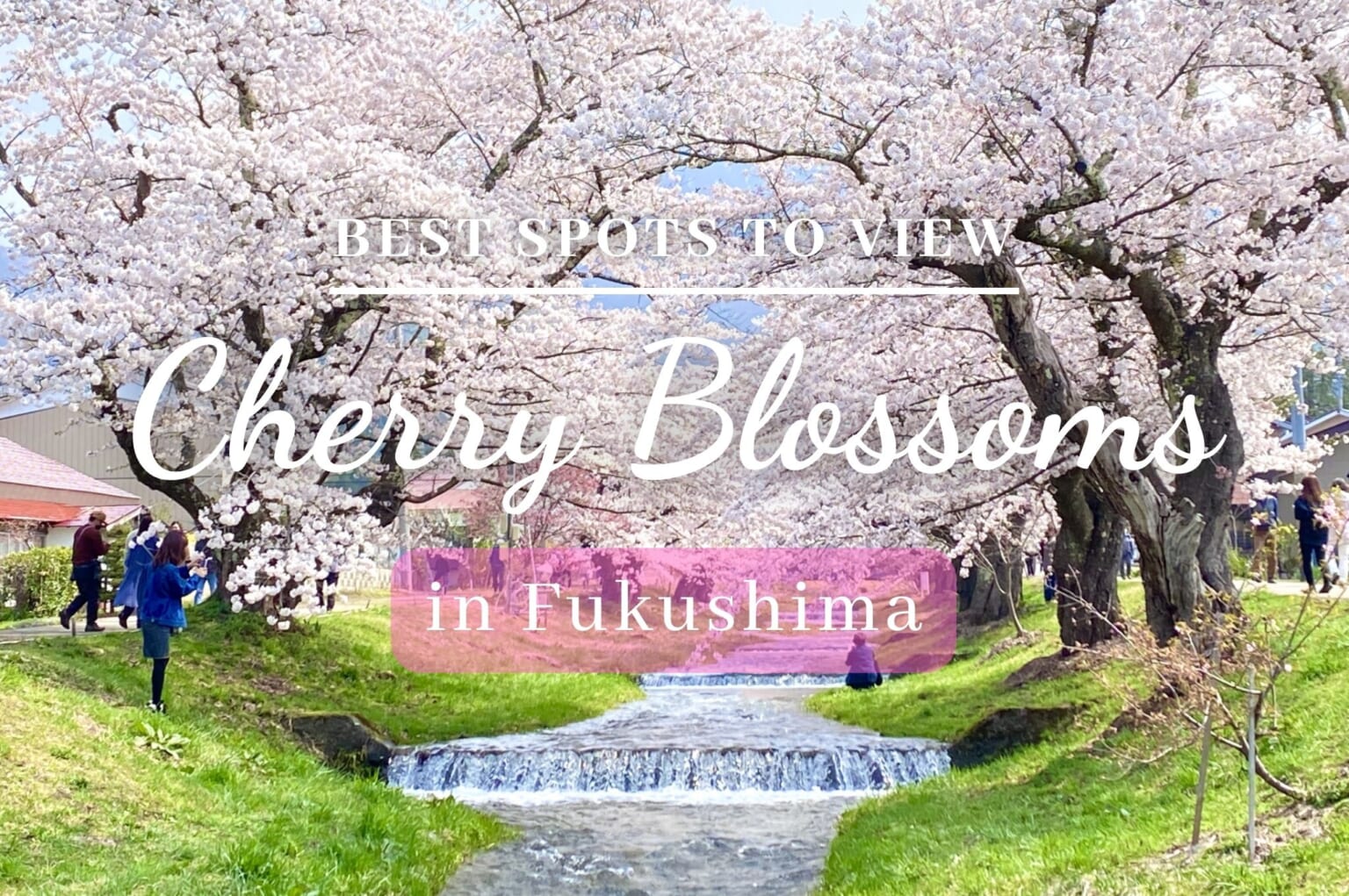 10 Best Spots to View Cherry Blossoms in Fukushima - Japan Web Magazine