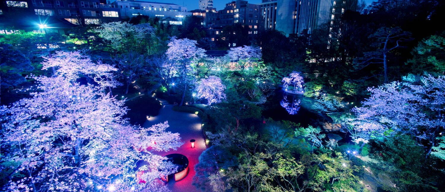 TOKYO SAKURA GARDEN SPRING FESTIVAL