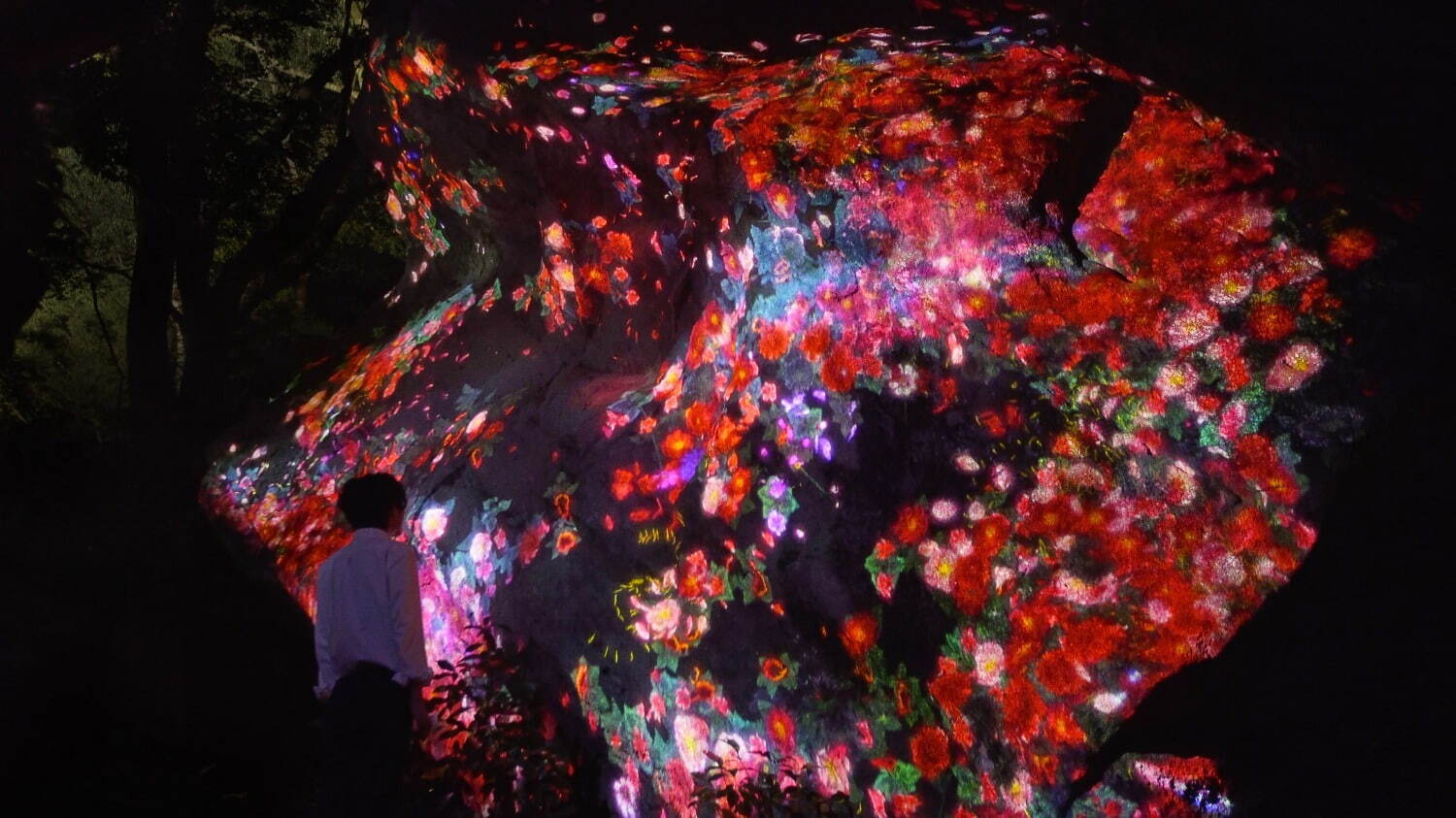 teamLab: A Forest Where Gods Live