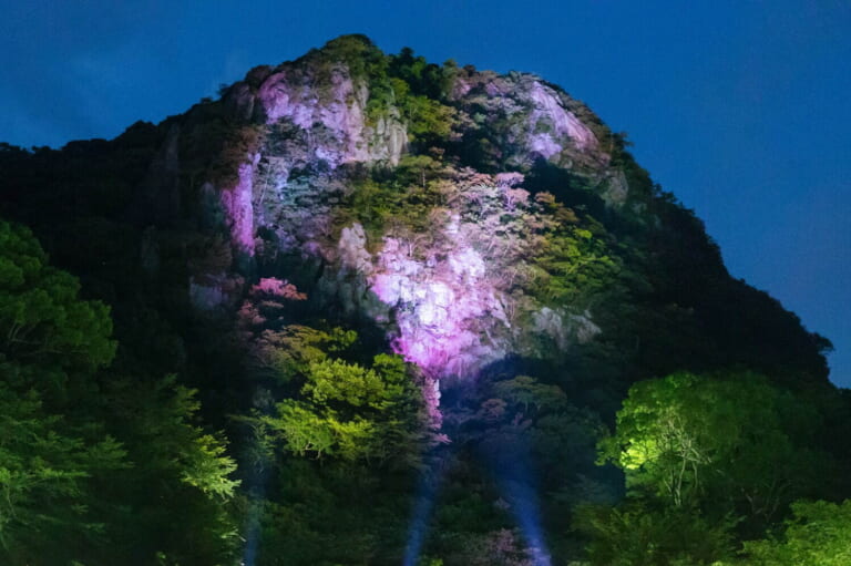 Teamlab: A Forest Where Gods Live