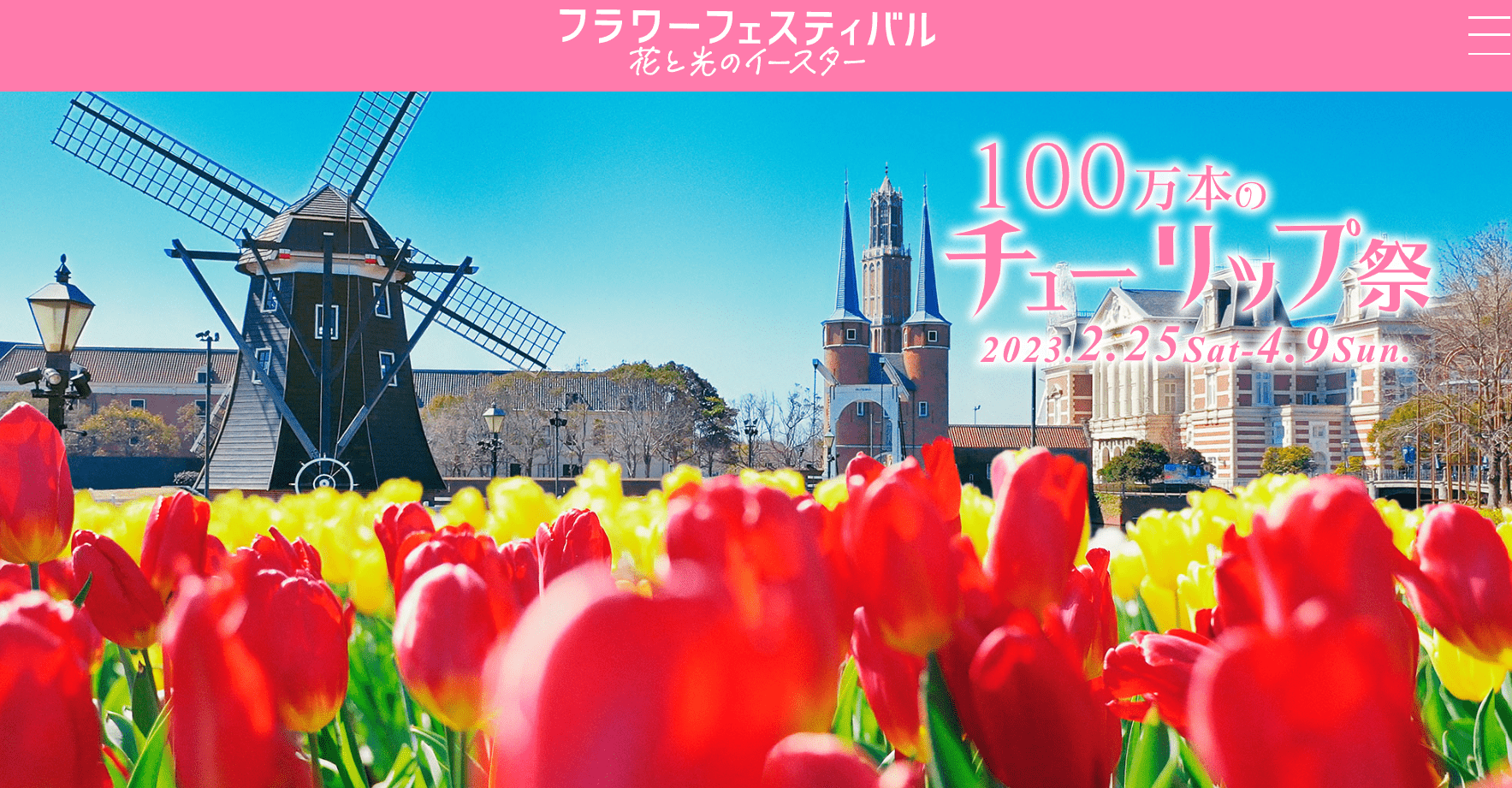1 Million Tulips Blooming