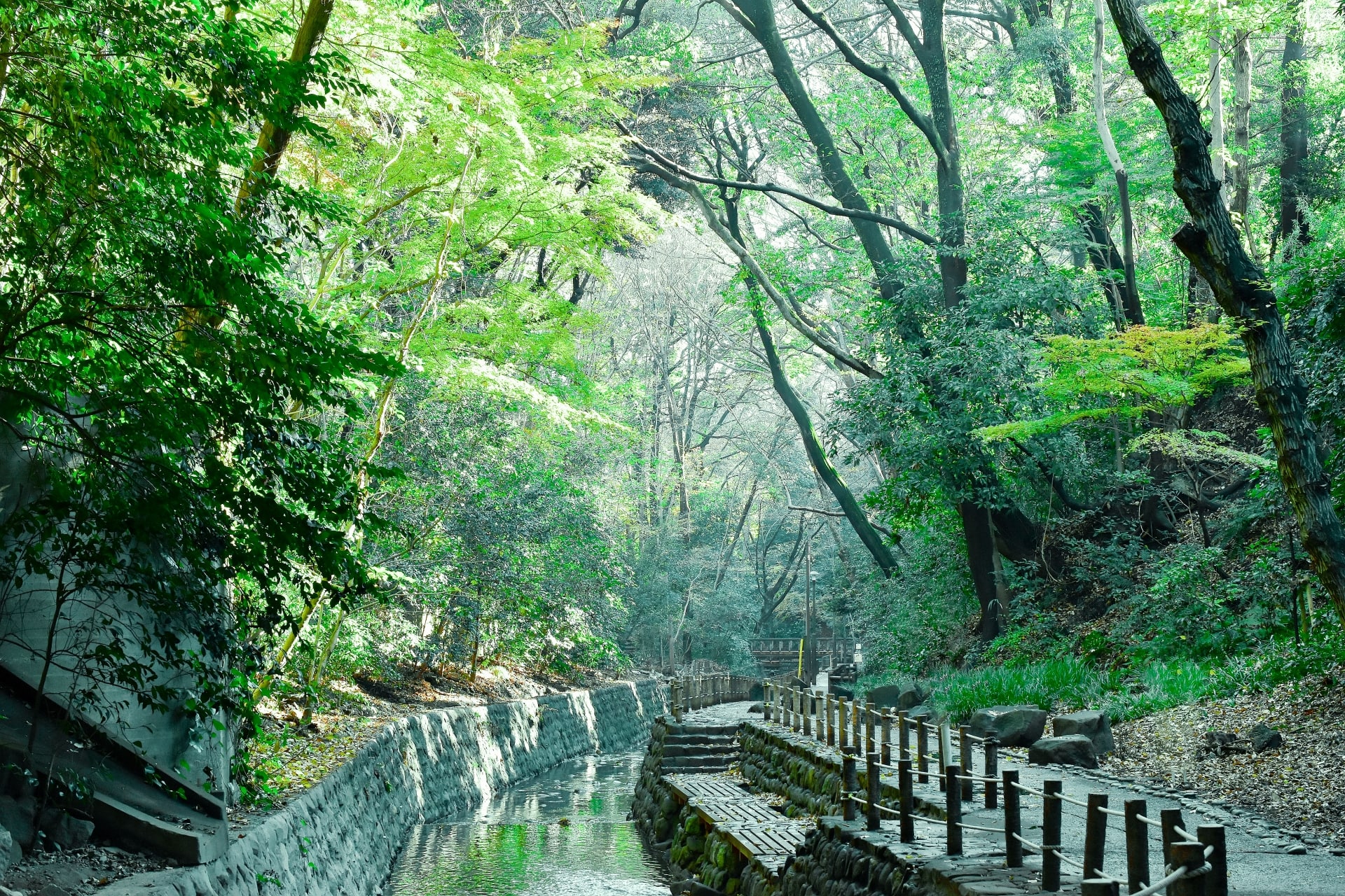 Todoroki Valley