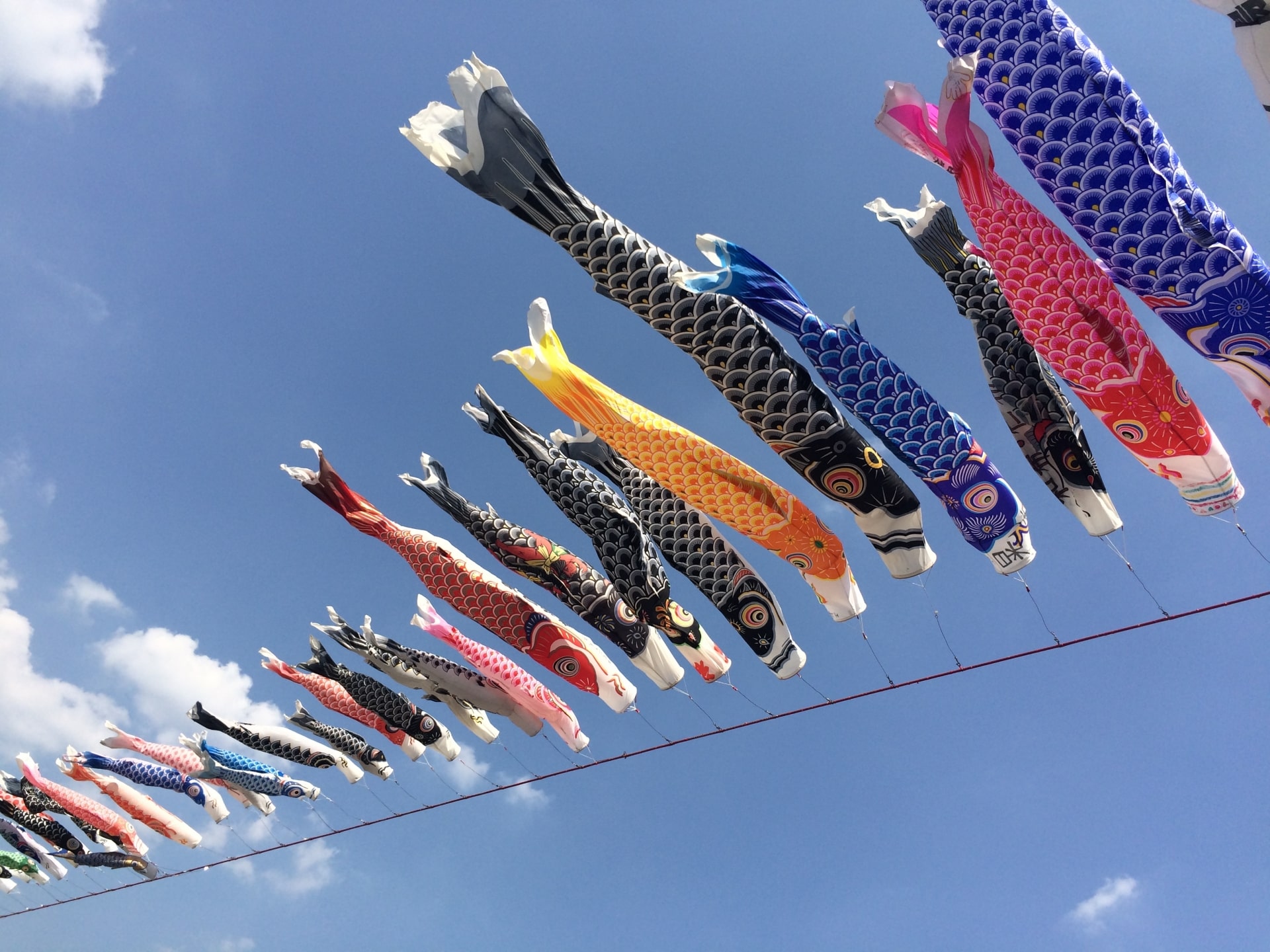 koinobori from bottom