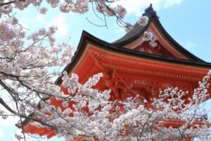 10 Best Things to Do in Kyoto in April