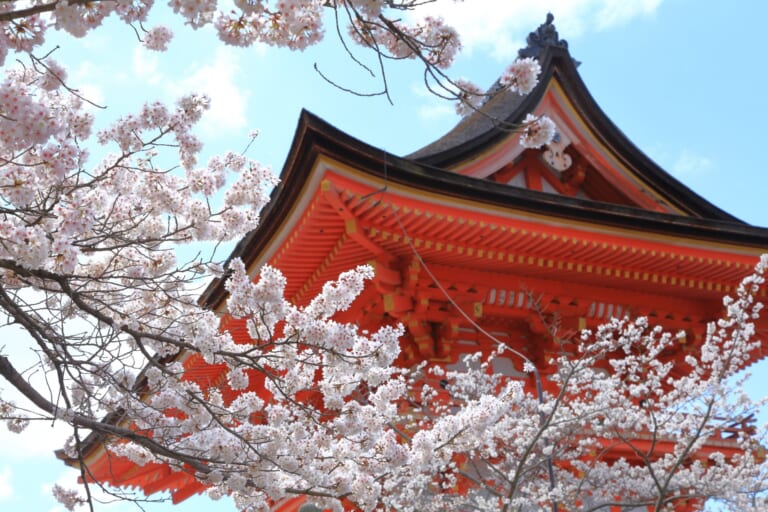 10 Best Things to Do in Kyoto in April 2025