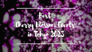 Best Cherry Blossom Events in Tokyo
