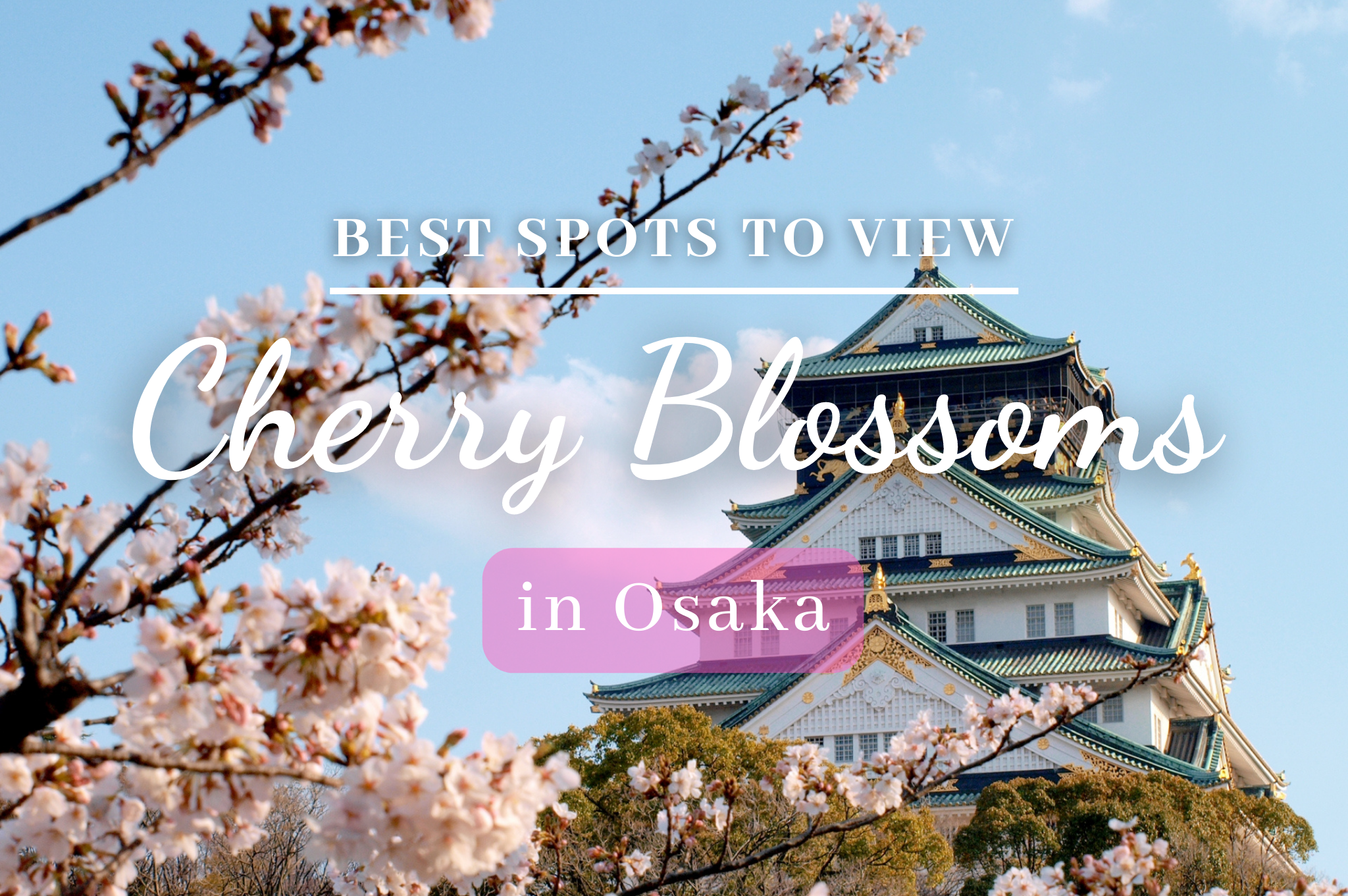 10 Best Spots to View Cherry Blossoms in Osaka