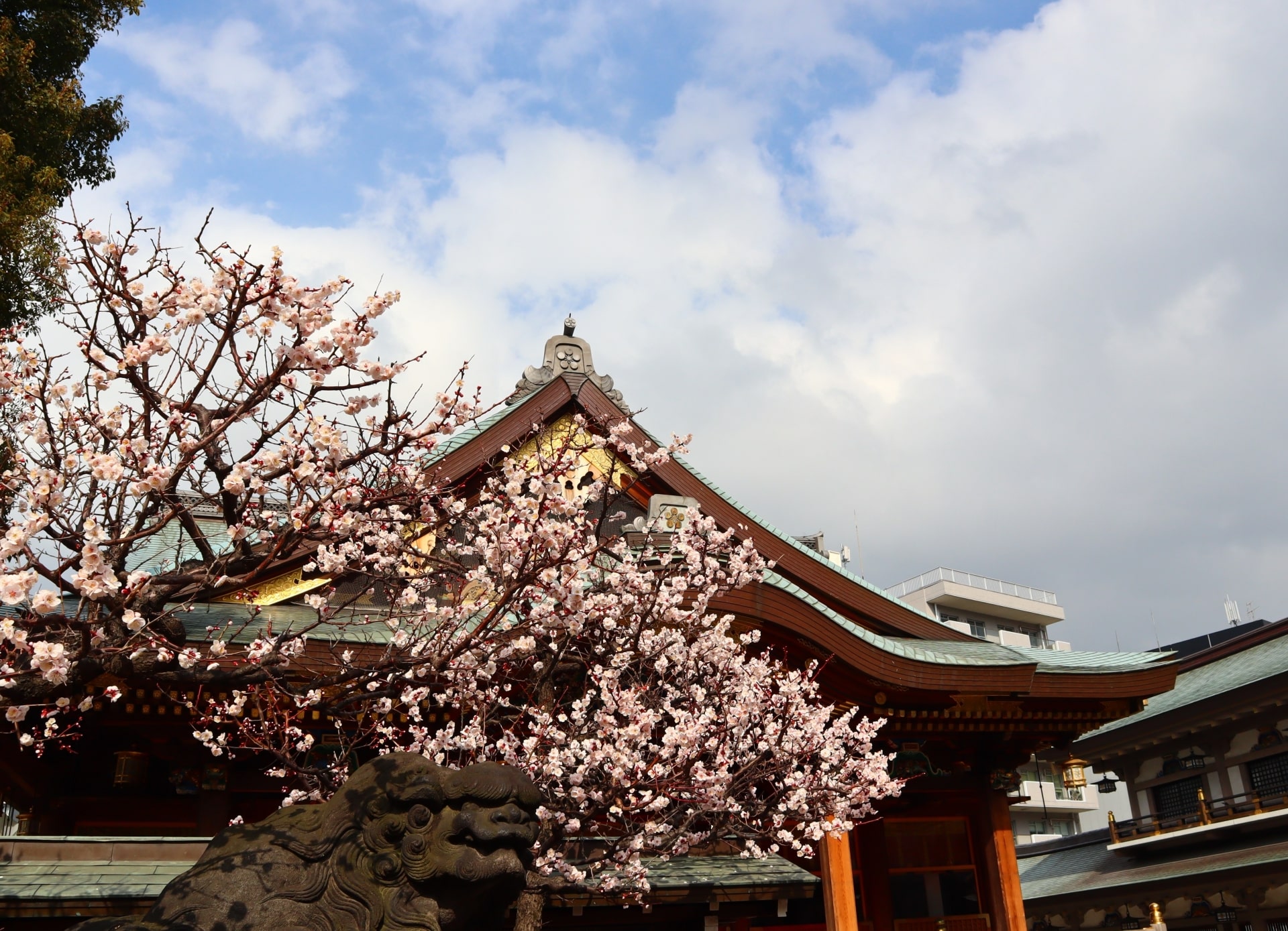 Bunkyo Plum Festival