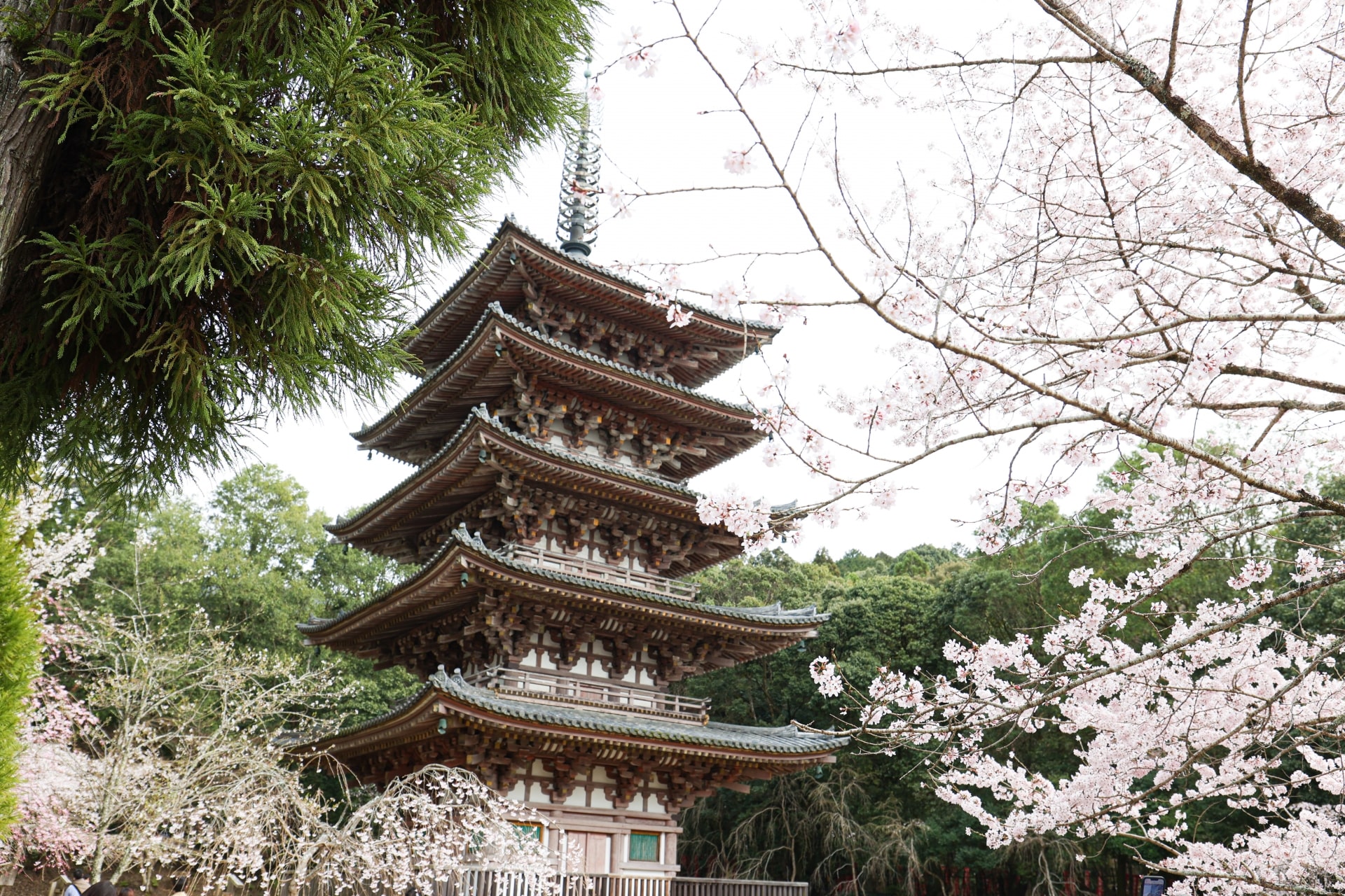 Daigo-ji Temple