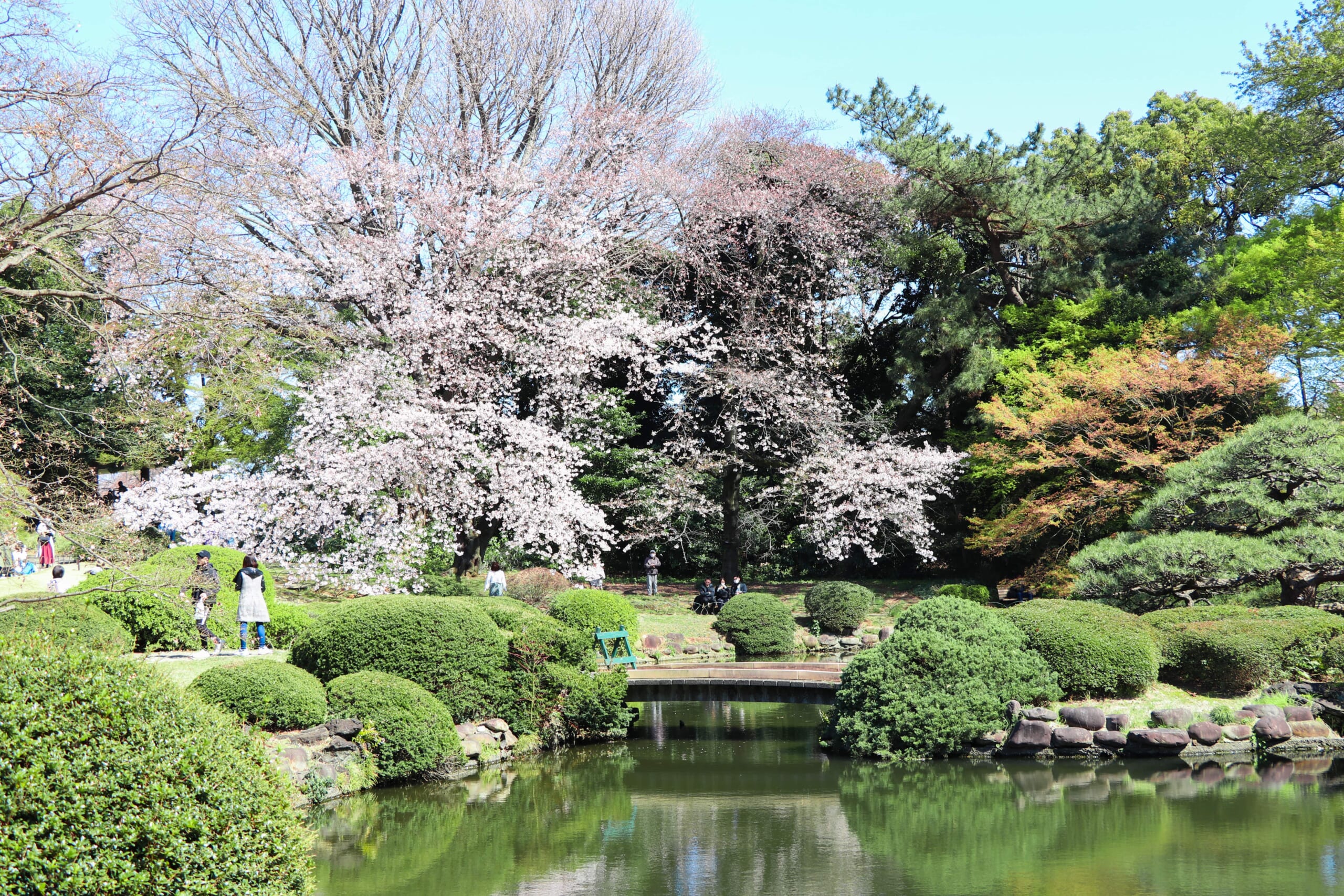 Most Beautiful Japanese Gardens in Tokyo