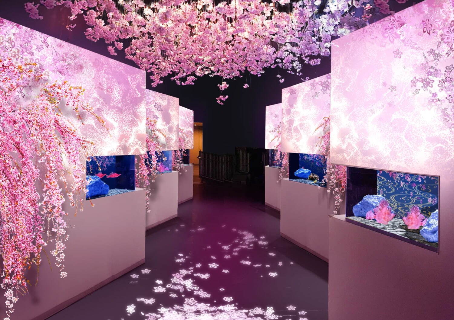 NAKED SAKURA AQUARIUM