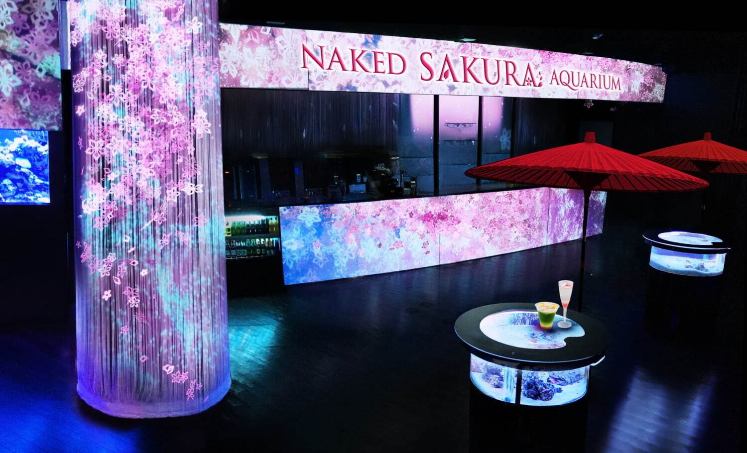 NAKED SAKURA AQUARIUM