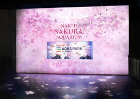 NAKED SAKURA AQUARIUM at Maxell Aqua Park Shinagawa