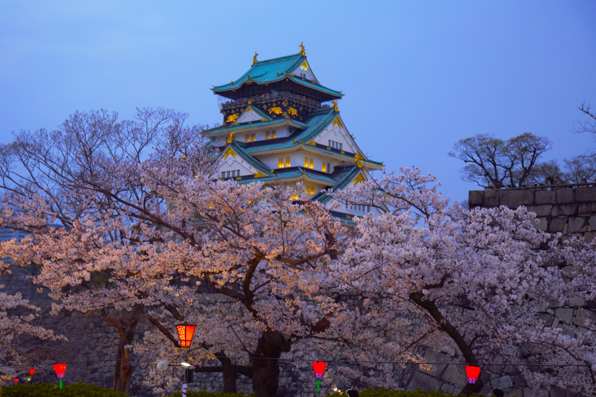 Osaka Castke Park Cherry Blossom
