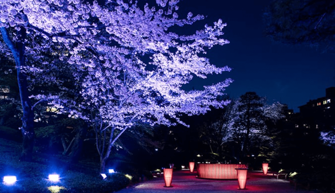 Tokyo Sakura Garden Spring Festival