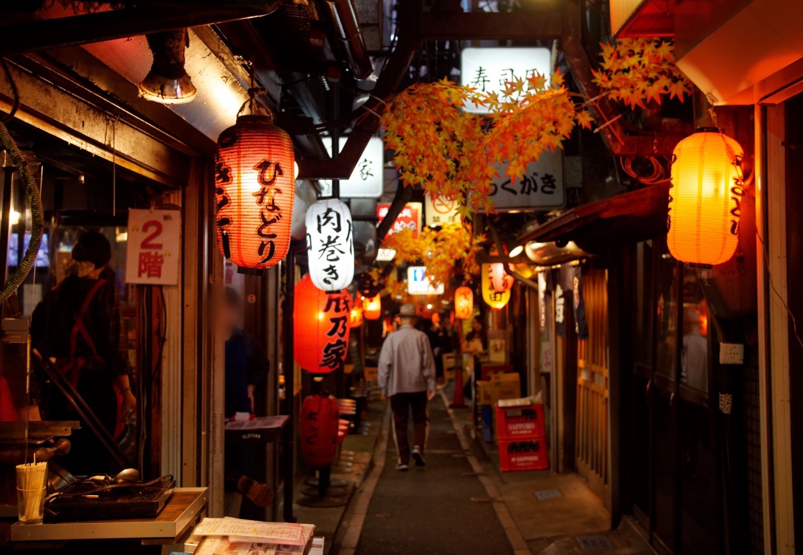 Traditional Japanese style Izakaya Alley