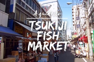 Guide to Tsukiji Fish Market