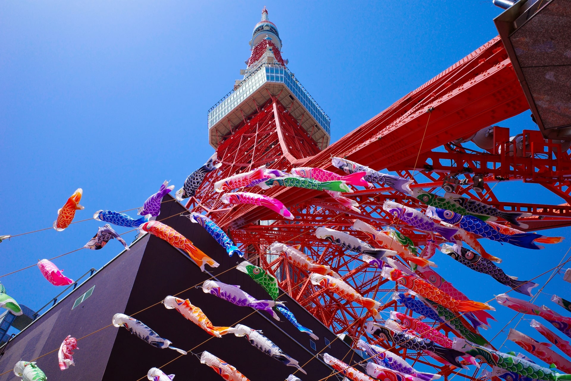 golden week tokyo tower