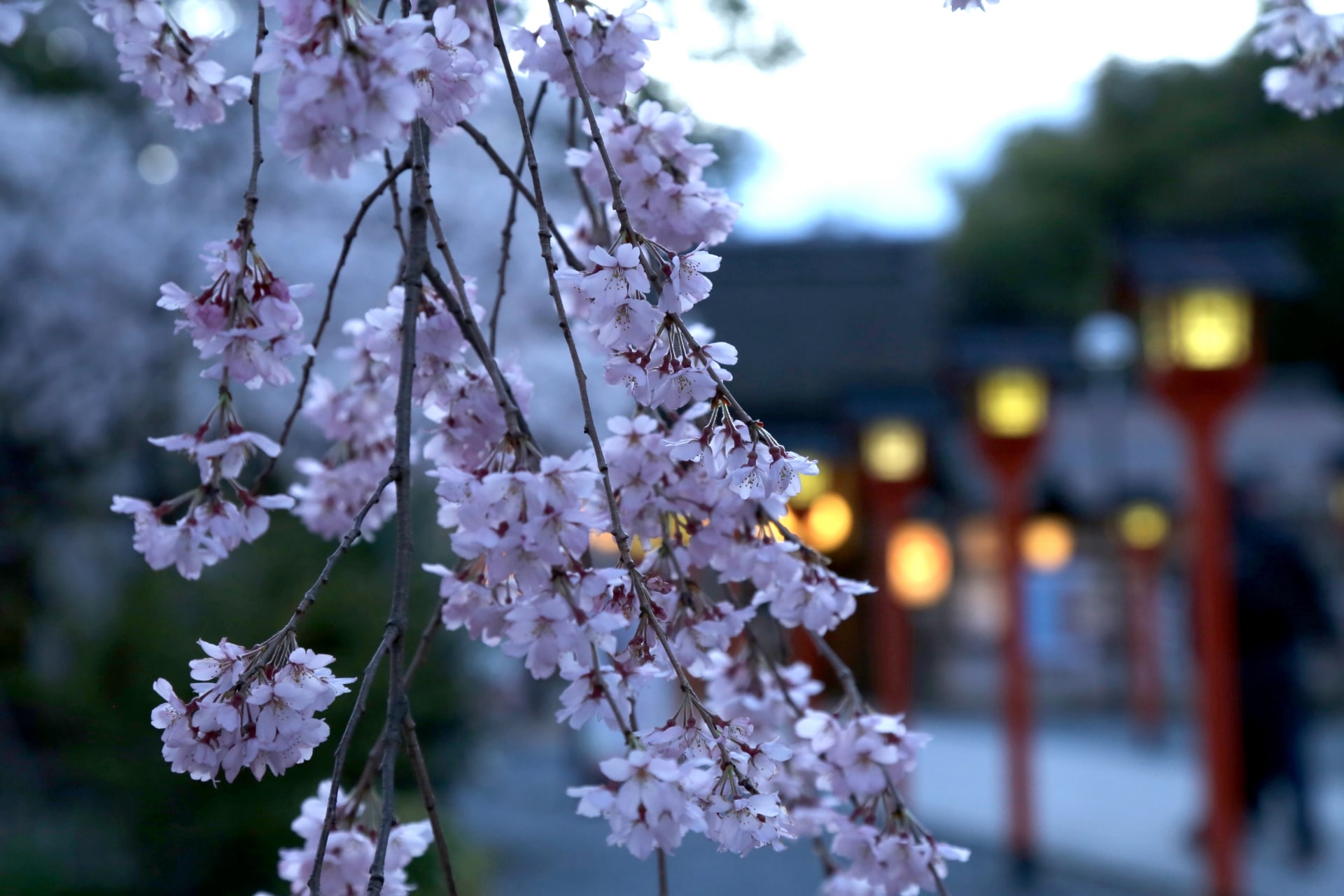 hirano shrine