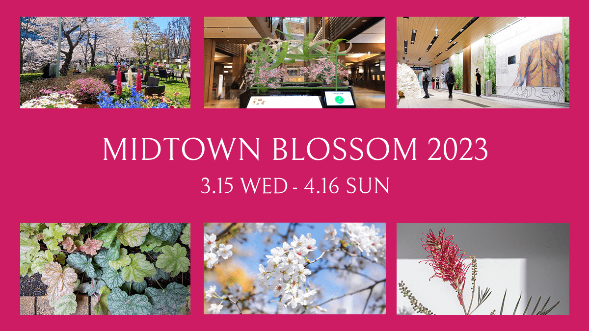 midtown blossom