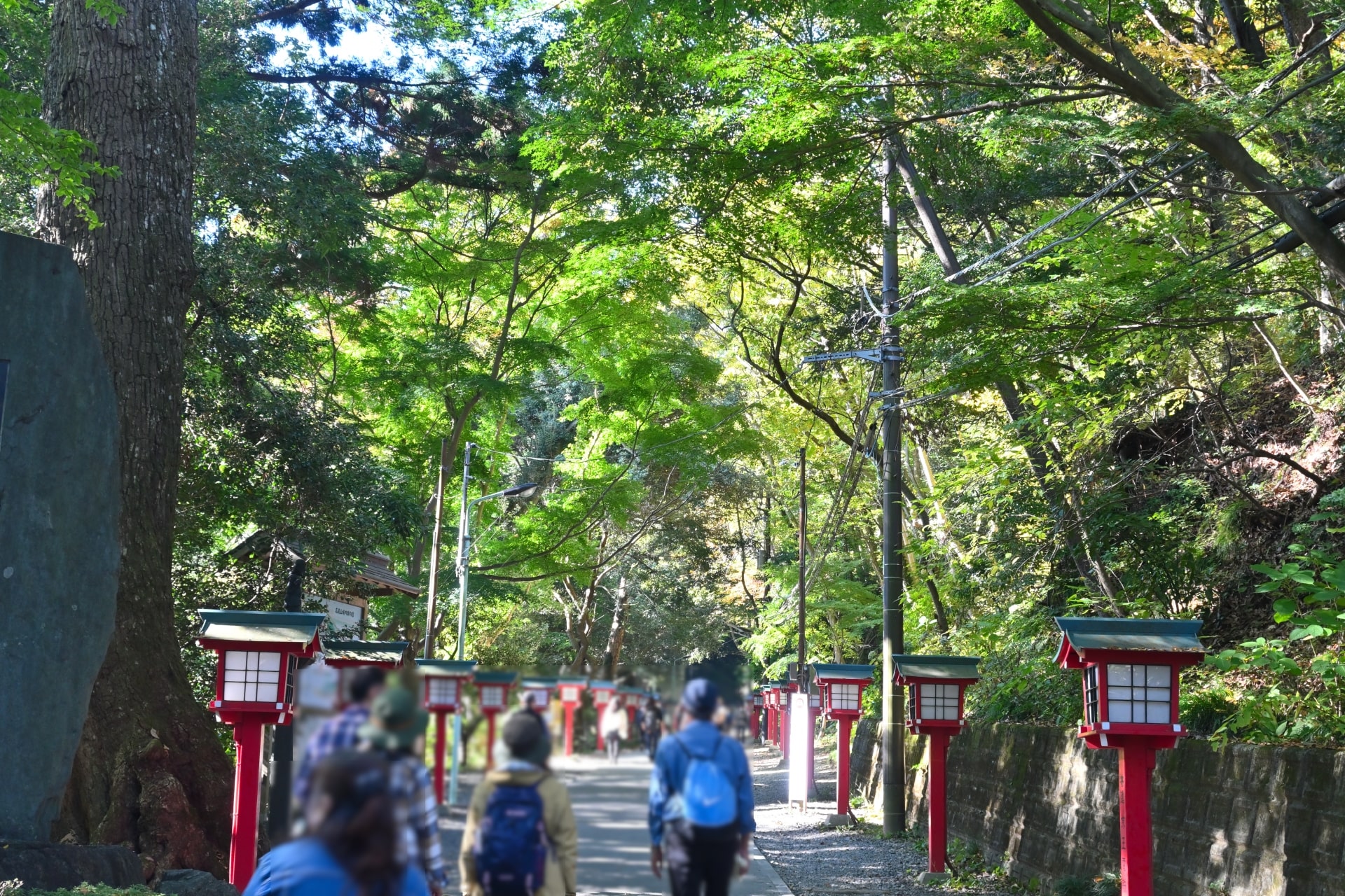 mt takao hiking spring