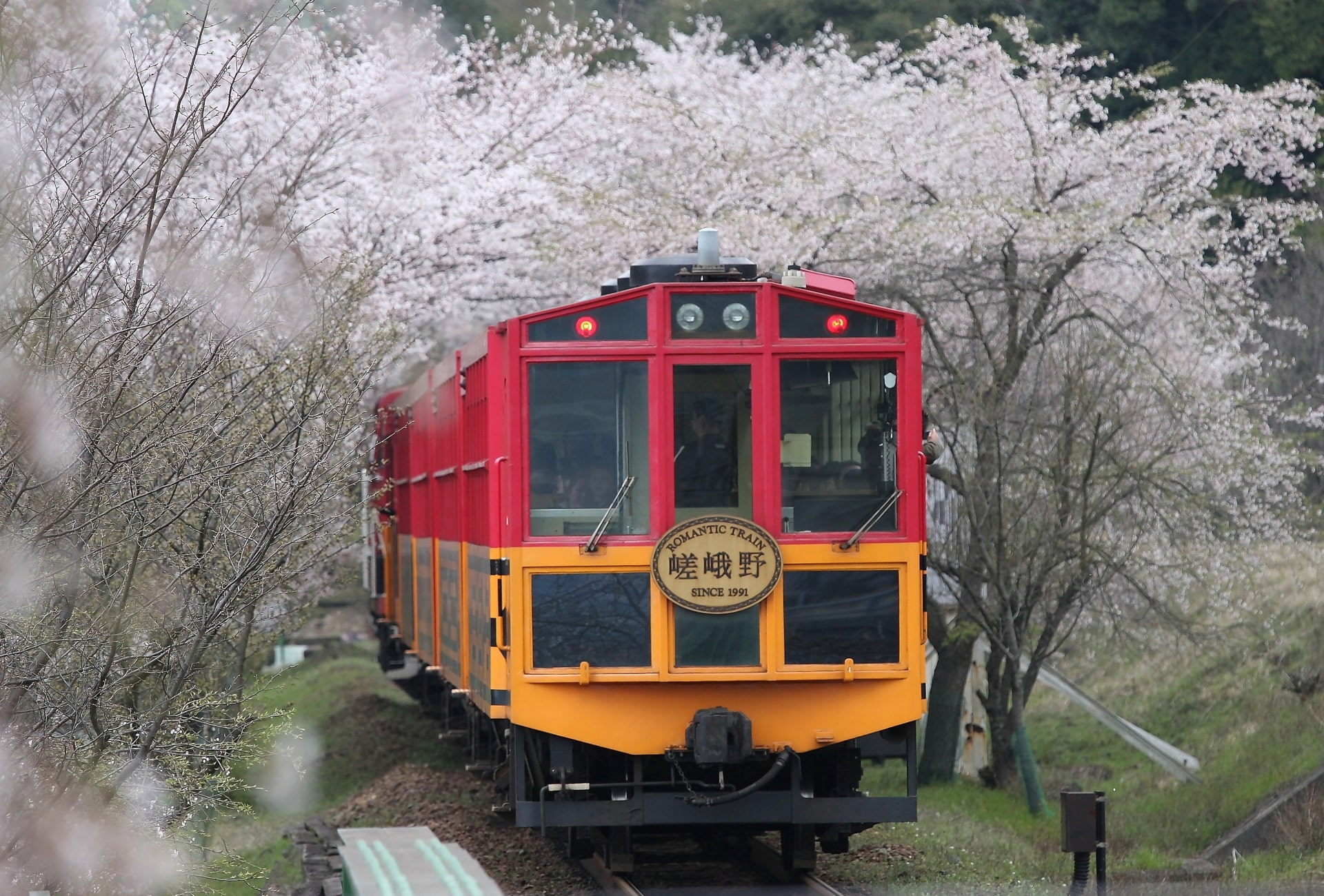 Sagano trolly 