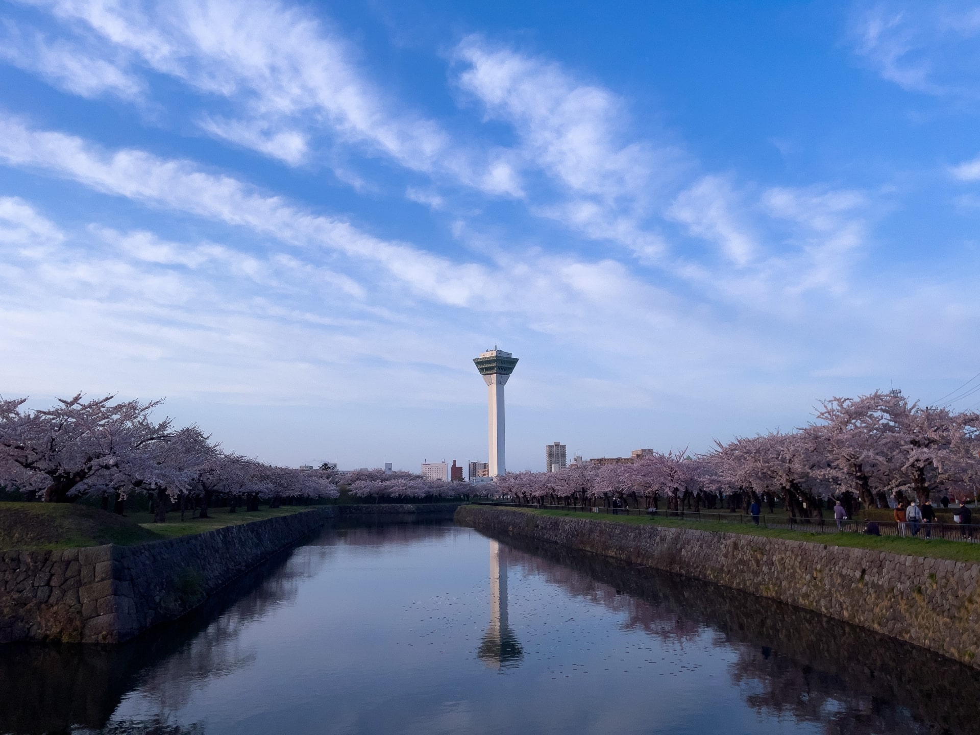 Goryokaku Park with cherry blossoms in full bloom