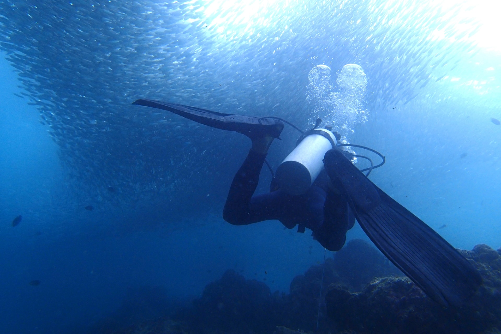 Island Hopping and Sardines Run in Moalboal-