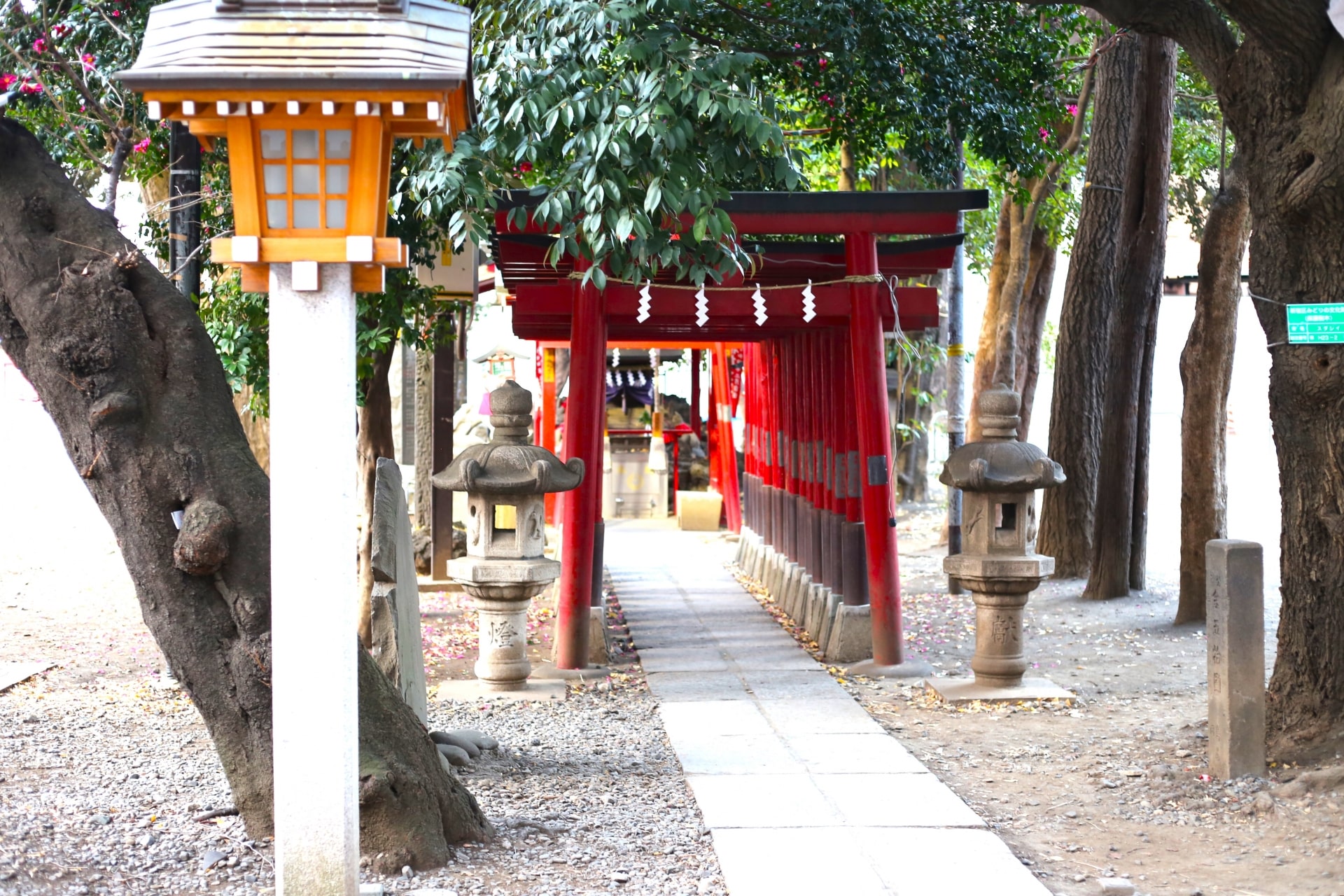 Hanazono Shrine: A Large Shinto Shrine in Shinjuku