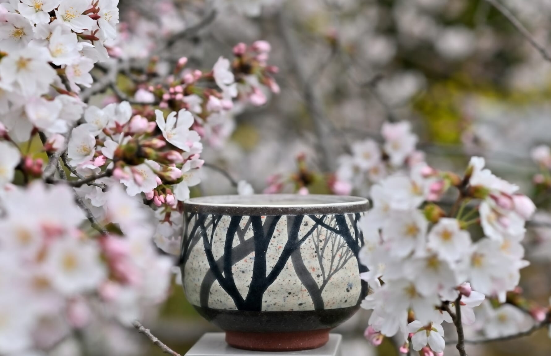 Japanese Pottery