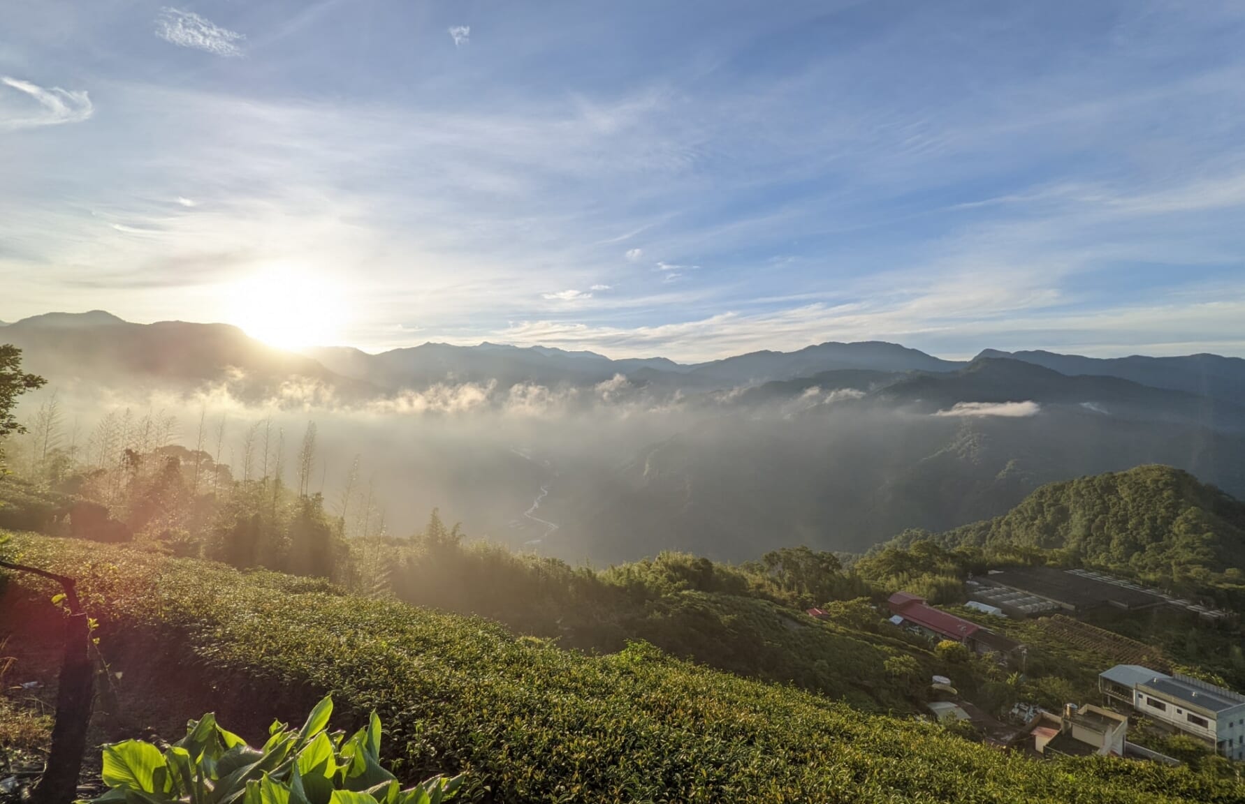 Alishan National Scenic Area