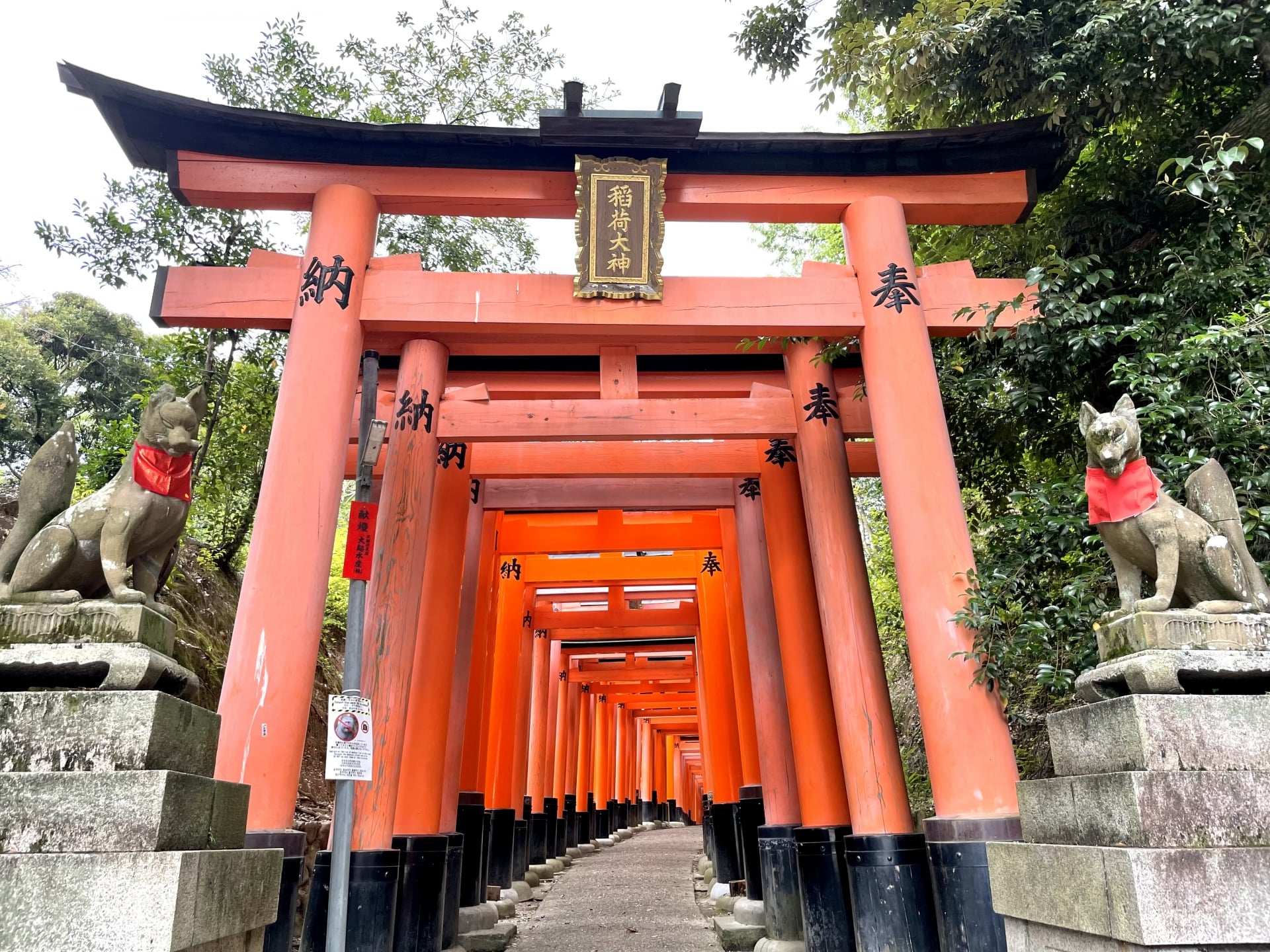 fushimiinari