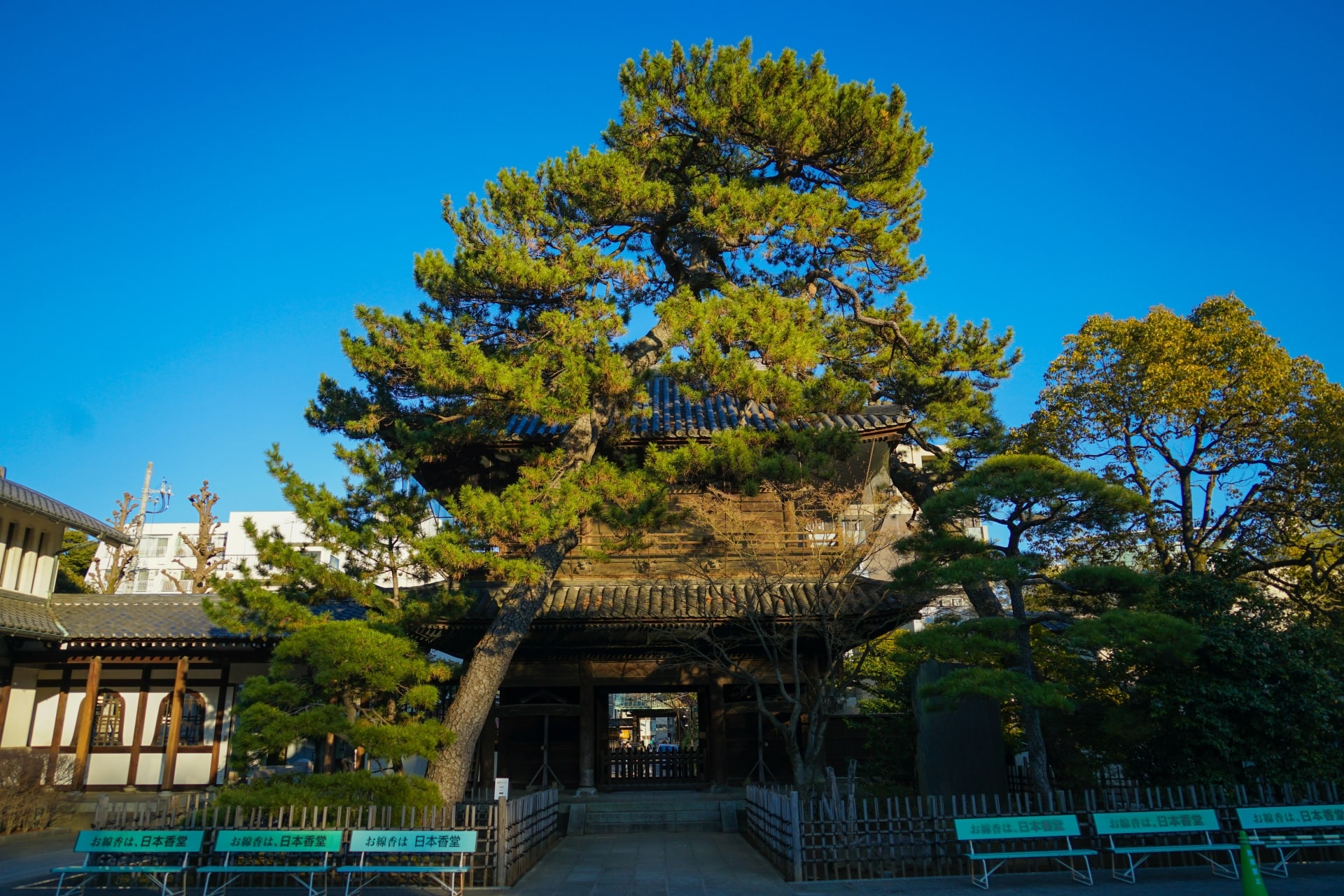 Sengakuji Temple: A Buddhist Temple in Shinagawa